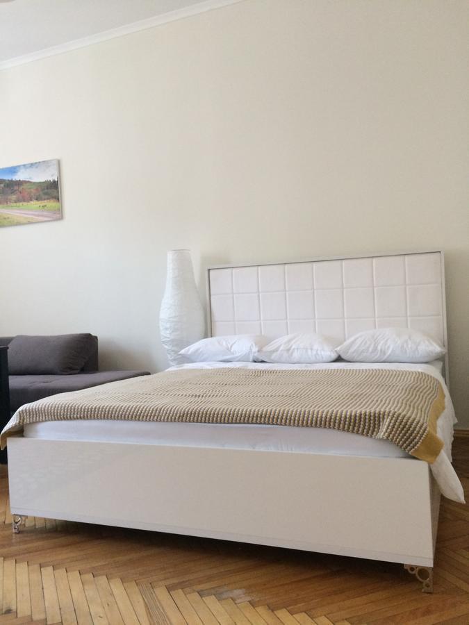 Cozy Apartment 39/34 Lviv Luaran gambar